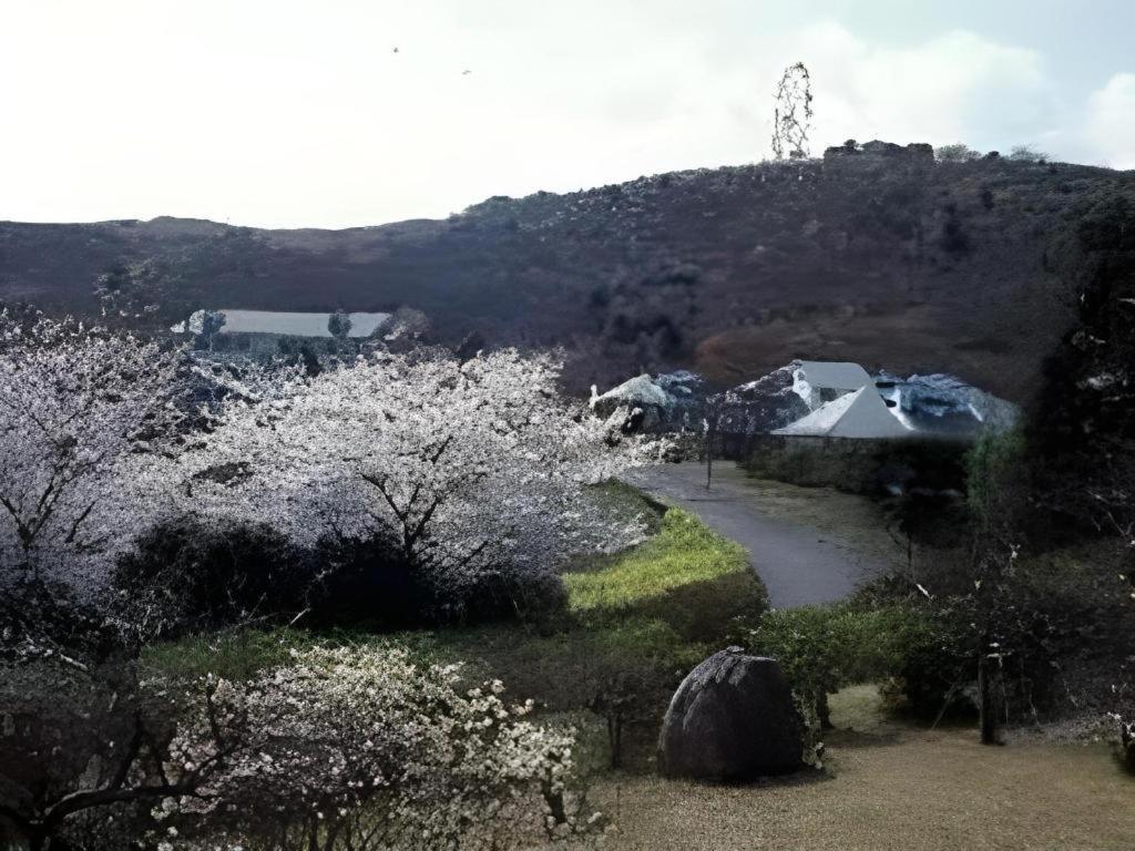 Izu Inatori Sports Villa Экстерьер фото