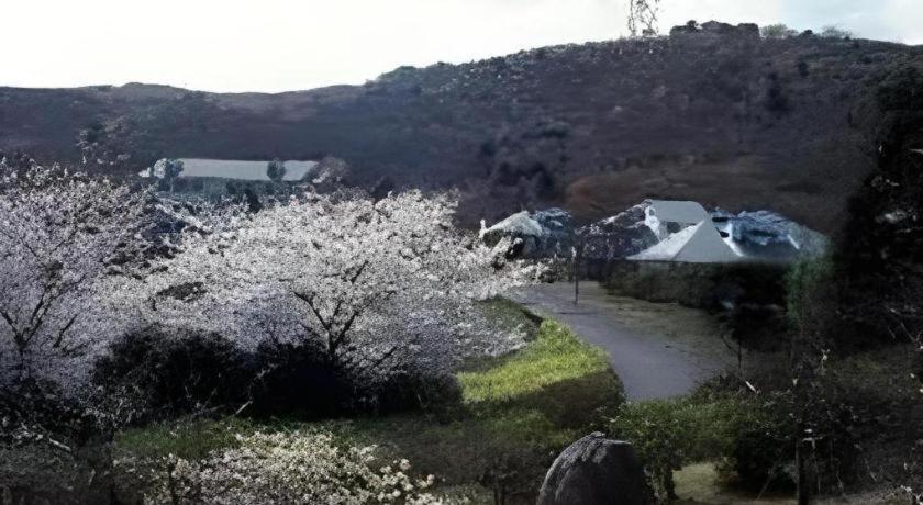Izu Inatori Sports Villa Экстерьер фото